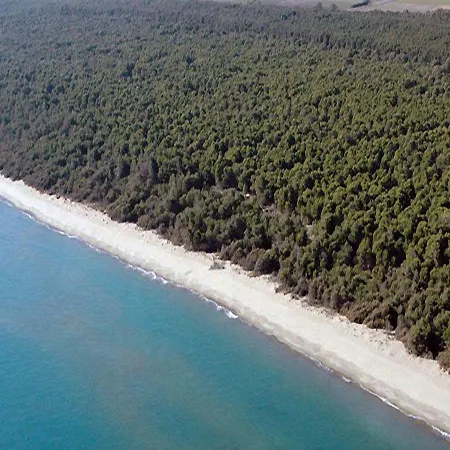 Argonauti Trilo *
